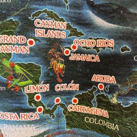 Princess Cruises Gray Tee Shirt Size Large - Picture 7 of 7